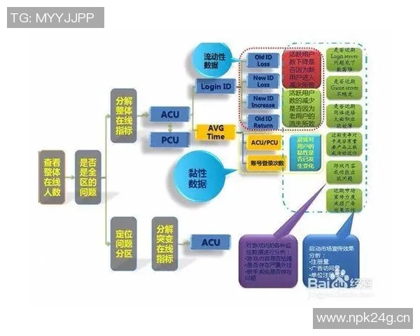 杭州篮球队运营分析：成功经验与不足之处的深度剖析