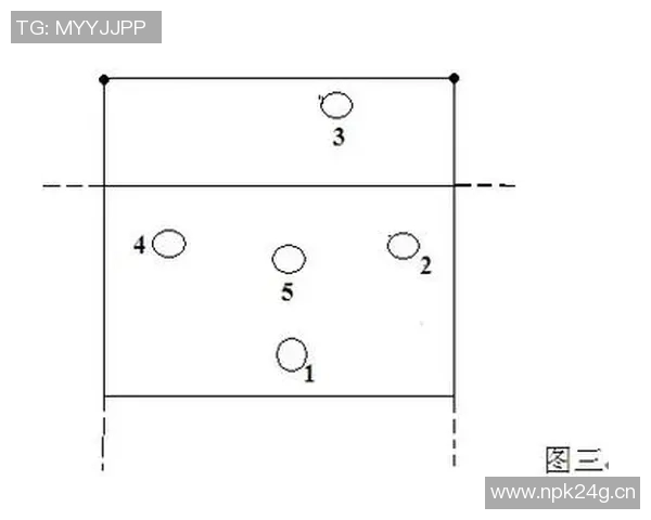 排球盛宴：深入分析西安排球队的战术配合与团队协作技巧