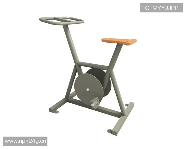 英派斯健身器材大全：英派斯健身器材的详细分类与优势分析